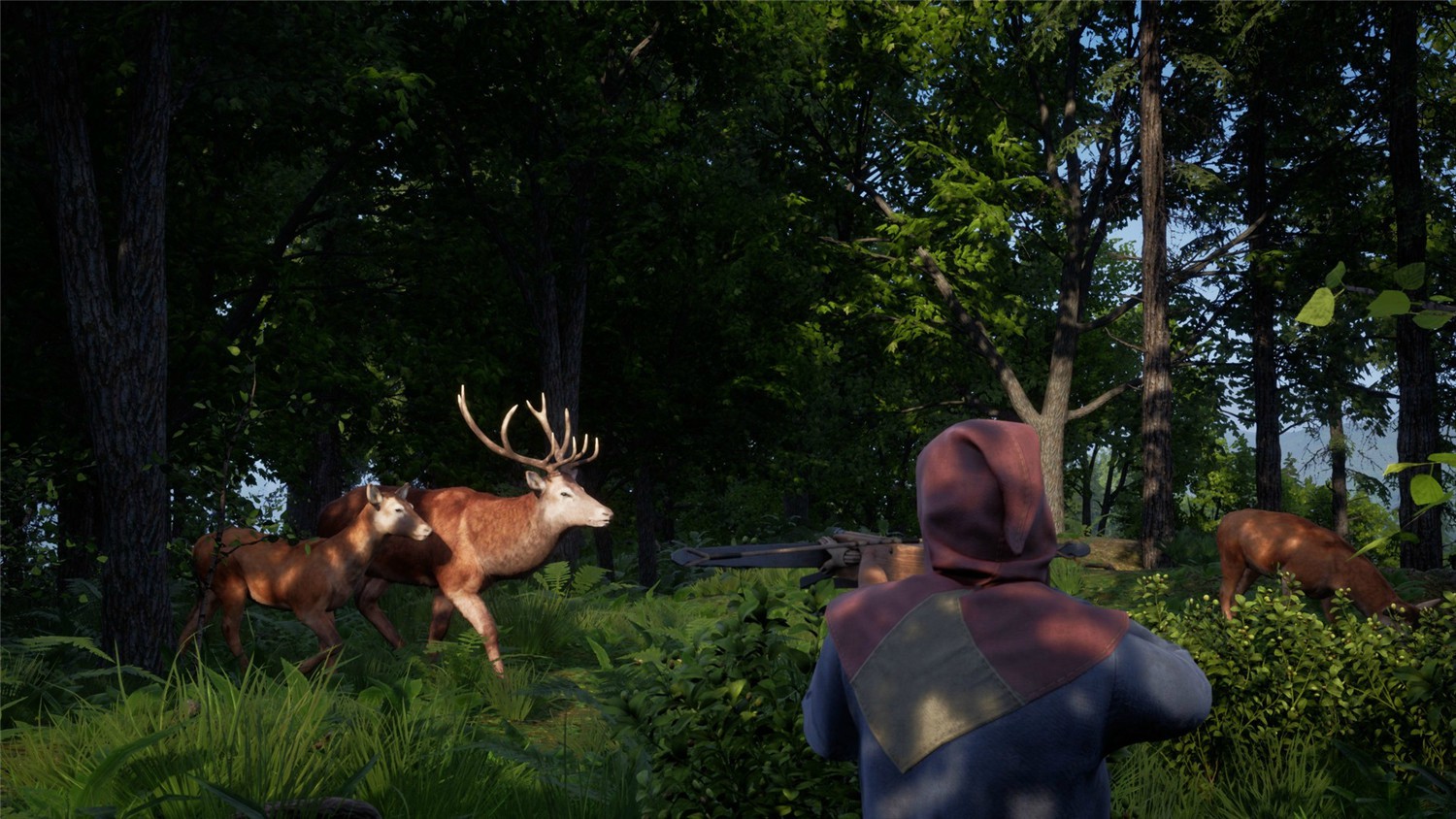 https:https://www.weimei77.com/wp-content/uploads/2025/03/https://www.uuth.top/wp-content/uploads/2025/03/20250321133122-67dd6a2a13354.jpg 2.jpg