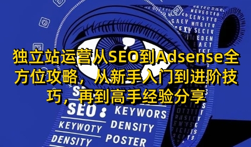 独立站运营从SEO到Adsense全方位攻略,从新手入门到进阶技巧,再到高手经验分享
