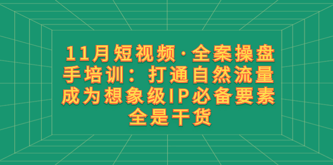 11月短视频·全案操盘手培训：打通自然流量 成为想象级IP必备要素 全是干货睿集资源栈-网赚项目-副业赚钱-互联网创业-资源整合睿集资源栈
