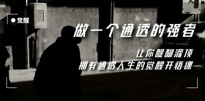 （7696期）觉醒-做一个通透强者，让你醍醐灌顶，拥有通透人生，掌握强大的秘密睿集资源栈-网赚项目-副业赚钱-互联网创业-资源整合睿集资源栈