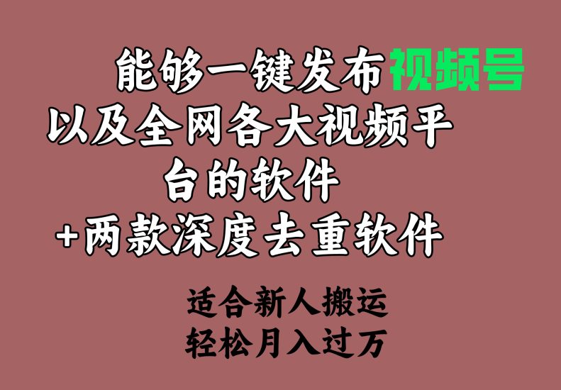 能够一键发布视频号以及全网各大视频平台的软件+两款深度去重软件 适合…睿集资源栈-网赚项目-副业赚钱-互联网创业-资源整合睿集资源栈