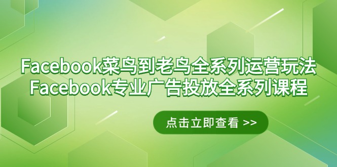 Facebook-菜鸟到老鸟全系列运营玩法+Facebook-专业广告投放全系列课程睿集资源栈-网赚项目-副业赚钱-互联网创业-资源整合睿集资源栈