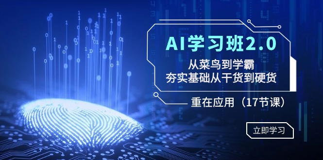 AI学习班2.0：从菜鸟到学霸，夯实基础从干货到硬货，重在应用（17节课）睿集资源栈-网赚项目-副业赚钱-互联网创业-资源整合睿集资源栈