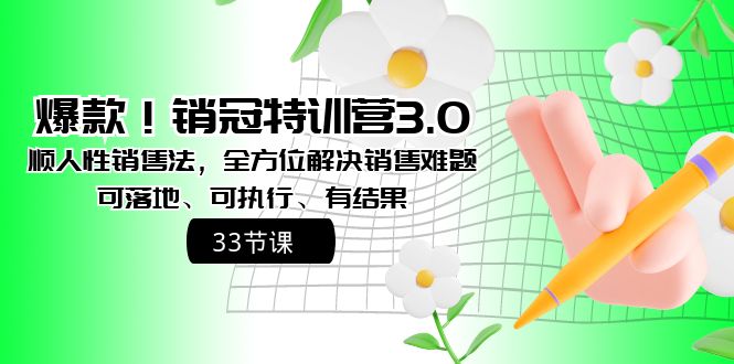 爆款！销冠特训营3.0之顺人性销售法，全方位解决销售难题、可落地、可执…睿集资源栈-网赚项目-副业赚钱-互联网创业-资源整合睿集资源栈