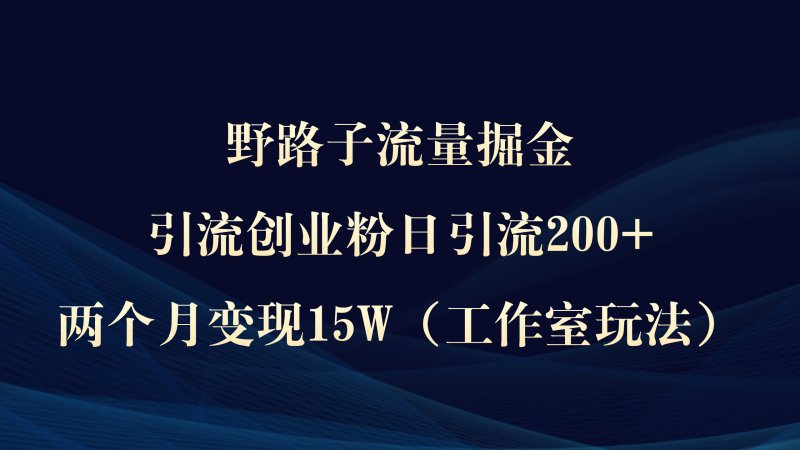 野路子流量掘金，引流创业粉日引流200+，两个月变现15W（工作室玩法））睿集资源栈-网赚项目-副业赚钱-互联网创业-资源整合睿集资源栈