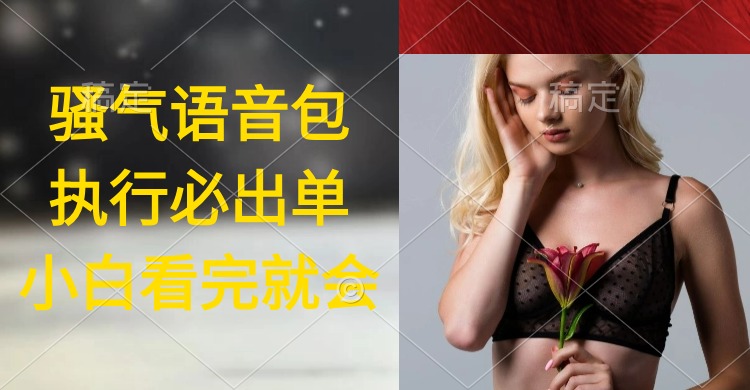 执行就出单，日入2000+，超火骚气语音包，小白看完课程就能马上实操睿集资源栈-网赚项目-副业赚钱-互联网创业-资源整合睿集资源栈