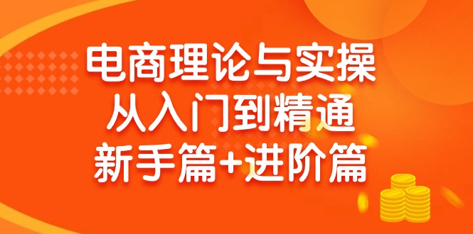 电商理论与实操从入门到精通 新手篇+进阶篇睿集资源栈-网赚项目-副业赚钱-互联网创业-资源整合睿集资源栈
