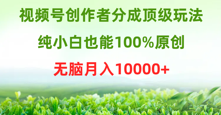 视频号创作者分成顶级玩法，纯小白也能100%原创，无脑月入10000+睿集资源栈-网赚项目-副业赚钱-互联网创业-资源整合睿集资源栈