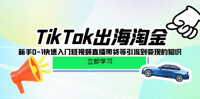 TikTok-出海淘金，新手0-1快速入门短视频直播带货等引流到变现的知识睿集资源栈-网赚项目-副业赚钱-互联网创业-资源整合睿集资源栈
