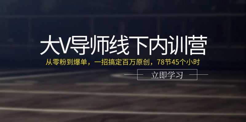 大V导师线下内训营：从零粉到爆单，一招搞定百万原创，78节45个小时睿集资源栈-网赚项目-副业赚钱-互联网创业-资源整合睿集资源栈