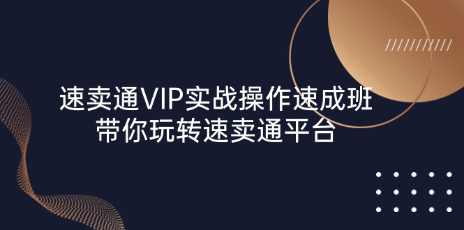 速卖通 VIP实战操作-速成班，带你玩转速卖通平台（23节）睿集资源栈-网赚项目-副业赚钱-互联网创业-资源整合睿集资源栈