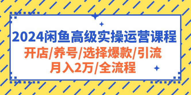 2024闲鱼高级实操运营课程：开店/养号/选择爆款/引流/月入2万/全流程睿集资源栈-网赚项目-副业赚钱-互联网创业-资源整合睿集资源栈