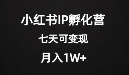 价值2000+的小红书IP孵化营项目,超级大蓝海,七天即可开始变现,稳定月入1W+睿集资源栈-网赚项目-副业赚钱-互联网创业-资源整合睿集资源栈