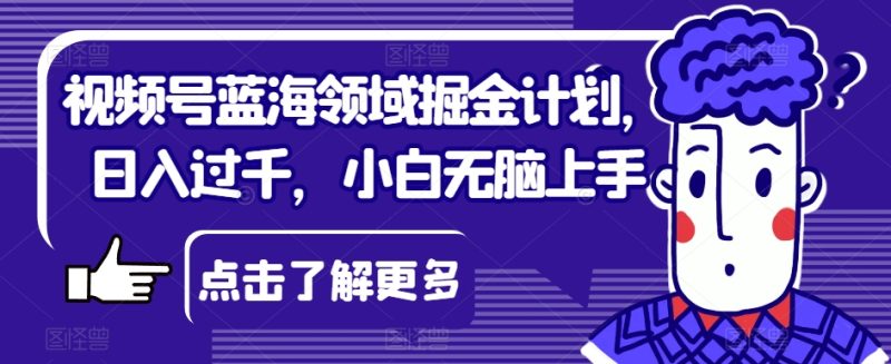 视频号蓝海领域掘金计划，日入过千，小白无脑上手【揭秘】睿集资源栈-网赚项目-副业赚钱-互联网创业-资源整合睿集资源栈