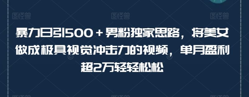 暴力日引500＋男粉独家思路，将美女做成极具视觉冲击力的视频，单月盈利超2万轻轻松松睿集资源栈-网赚项目-副业赚钱-互联网创业-资源整合睿集资源栈