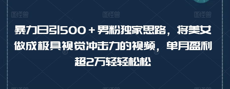 暴力日引500＋男粉独家思路，将美女做成极具视觉冲击力的视频，单月盈利超2万轻轻松松睿集资源栈-网赚项目-副业赚钱-互联网创业-资源整合睿集资源栈