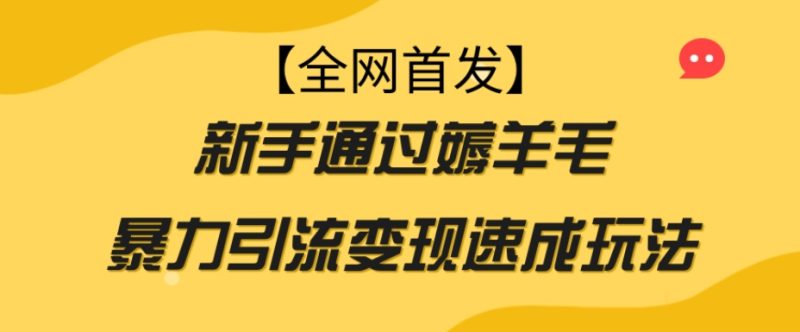 【全网首发】新手通过薅羊毛暴力引流变现速成玩法睿集资源栈-网赚项目-副业赚钱-互联网创业-资源整合睿集资源栈