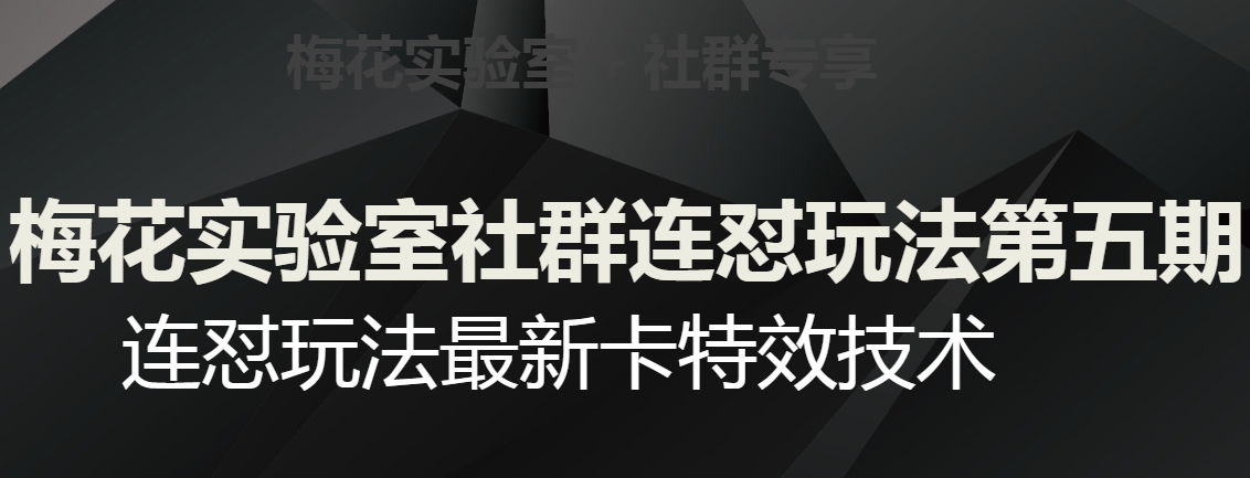 梅花实验室社群连怼玩法第五期，视频号连怼玩法最新卡特效技术睿集资源栈-网赚项目-副业赚钱-互联网创业-资源整合睿集资源栈