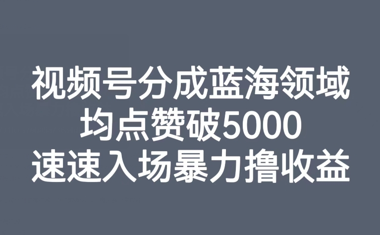 视频号分成蓝海领域，均点赞破5000，速速入场暴力撸收益睿集资源栈-网赚项目-副业赚钱-互联网创业-资源整合睿集资源栈