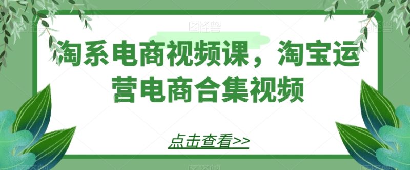 淘系电商视频课，淘宝运营电商合集视频睿集资源栈-网赚项目-副业赚钱-互联网创业-资源整合睿集资源栈