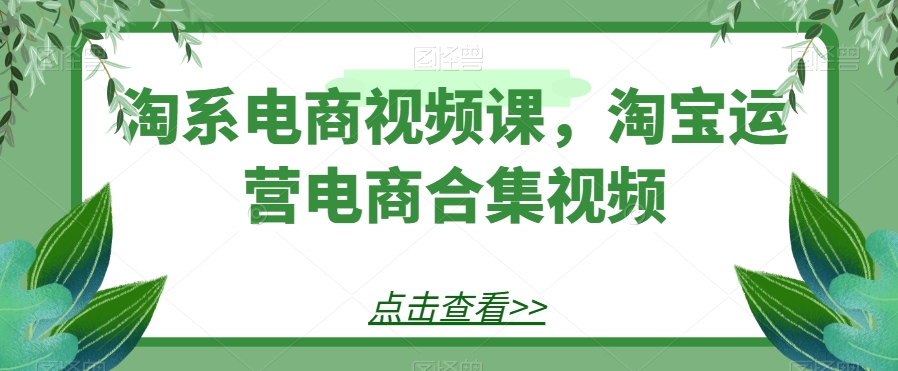 淘系电商视频课，淘宝运营电商合集视频睿集资源栈-网赚项目-副业赚钱-互联网创业-资源整合睿集资源栈