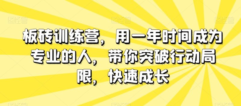 板砖训练营，用一年时间成为专业的人，带你突破行动局限，快速成长睿集资源栈-网赚项目-副业赚钱-互联网创业-资源整合睿集资源栈
