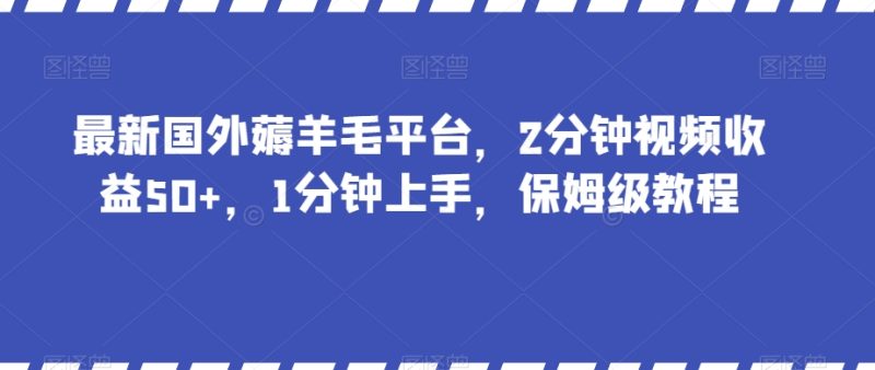 最新国外薅羊毛平台，2分钟视频收益50+，1分钟上手，保姆级教程【揭秘】睿集资源栈-网赚项目-副业赚钱-互联网创业-资源整合睿集资源栈