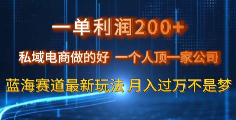一单利润200私域电商做的好，一个人顶一家公司蓝海赛道最新玩法【揭秘】睿集资源栈-网赚项目-副业赚钱-互联网创业-资源整合睿集资源栈