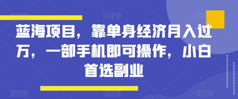 蓝海项目，靠单身经济月入过万，一部手机即可操作，小白首选副业【揭秘】睿集资源栈-网赚项目-副业赚钱-互联网创业-资源整合睿集资源栈