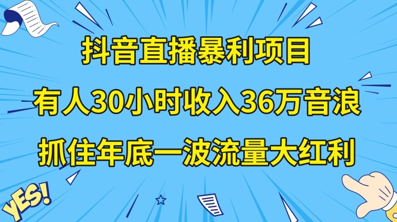 抖音直播暴利项目，有人30小时收入36万音浪，公司宣传片年会视频制作，抓住年底一波流量大红利【揭秘】睿集资源栈-网赚项目-副业赚钱-互联网创业-资源整合睿集资源栈