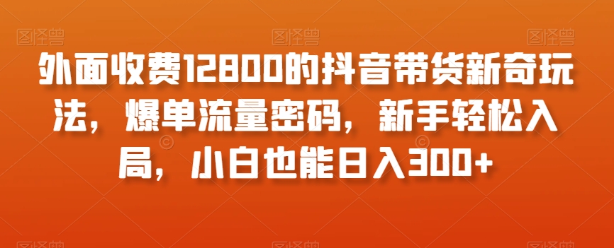 外面收费12800的抖音带货新奇玩法，爆单流量密码，新手轻松入局，小白也能日入300+【揭秘】睿集资源栈-网赚项目-副业赚钱-互联网创业-资源整合睿集资源栈