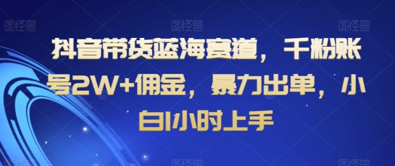 抖音带货蓝海赛道，千粉账号2W+佣金，暴力出单，小白1小时上手【揭秘】睿集资源栈-网赚项目-副业赚钱-互联网创业-资源整合睿集资源栈