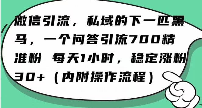 怎么搞精准创业粉？微信新赛道，每天一小时，利用Ai一个问答日引100精准粉睿集资源栈-网赚项目-副业赚钱-互联网创业-资源整合睿集资源栈
