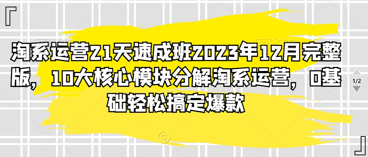淘系运营21天速成班2023年12月完整版，10大核心模块分解淘系运营，0基础轻松搞定爆款睿集资源栈-网赚项目-副业赚钱-互联网创业-资源整合睿集资源栈
