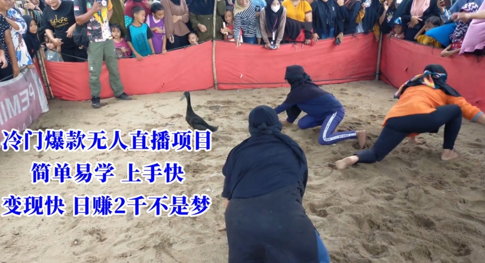 冷门爆款无人直播项目，简单易学上手快，变现快日赚2千不是梦睿集资源栈-网赚项目-副业赚钱-互联网创业-资源整合睿集资源栈