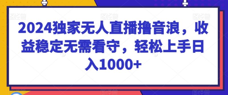 2024独家无人直播撸音浪，收益稳定无需看守，轻松上手日入1000+睿集资源栈-网赚项目-副业赚钱-互联网创业-资源整合睿集资源栈