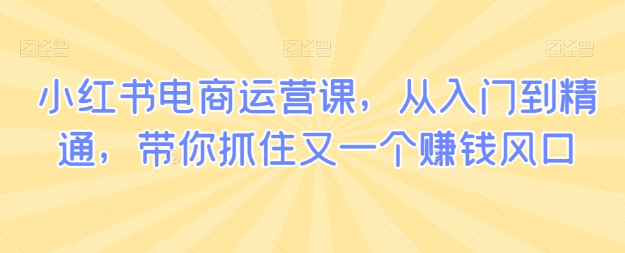 小红书电商运营课，从入门到精通，带你抓住又一个赚钱风口睿集资源栈-网赚项目-副业赚钱-互联网创业-资源整合睿集资源栈