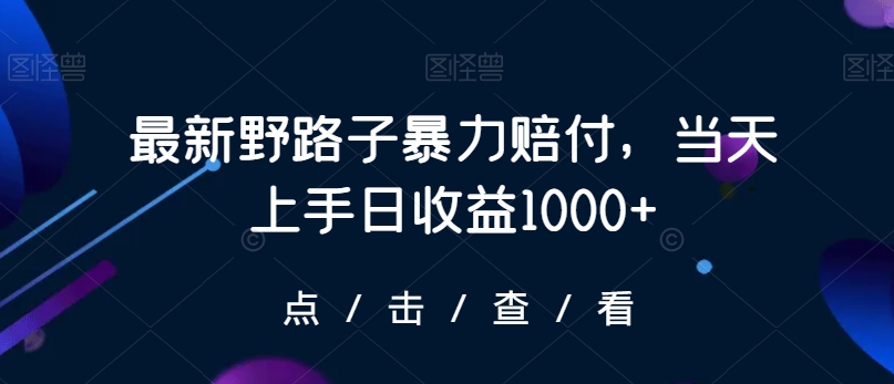 最新野路子暴力赔付，当天上手日收益1000+【仅揭秘】睿集资源栈-网赚项目-副业赚钱-互联网创业-资源整合睿集资源栈