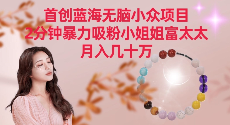 首创蓝海无脑小众项目，2分钟暴力吸粉小姐姐富太太，月入几十万睿集资源栈-网赚项目-副业赚钱-互联网创业-资源整合睿集资源栈