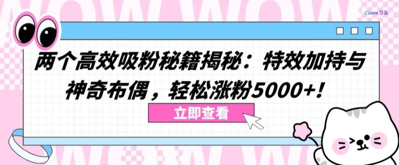 两个高效吸粉秘籍揭秘：特效加持与神奇布偶，轻松涨粉5000+睿集资源栈-网赚项目-副业赚钱-互联网创业-资源整合睿集资源栈