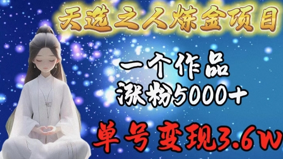 天选之人炼金项目,一个作品涨粉5000+,单号变现3.6w睿集资源栈-网赚项目-副业赚钱-互联网创业-资源整合睿集资源栈