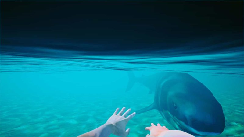 《海滩俱乐部模拟器2024》中文版睿集资源栈-网赚项目-副业赚钱-互联网创业-资源整合睿集资源栈