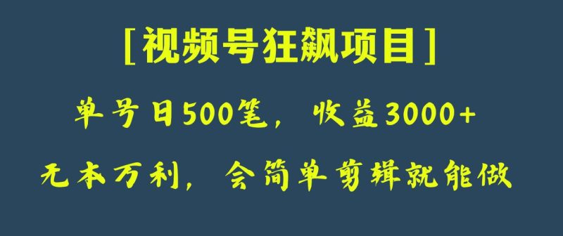 日收款500笔，纯利润3000+，视频号狂飙项目！睿集资源栈-网赚项目-副业赚钱-互联网创业-资源整合睿集资源栈