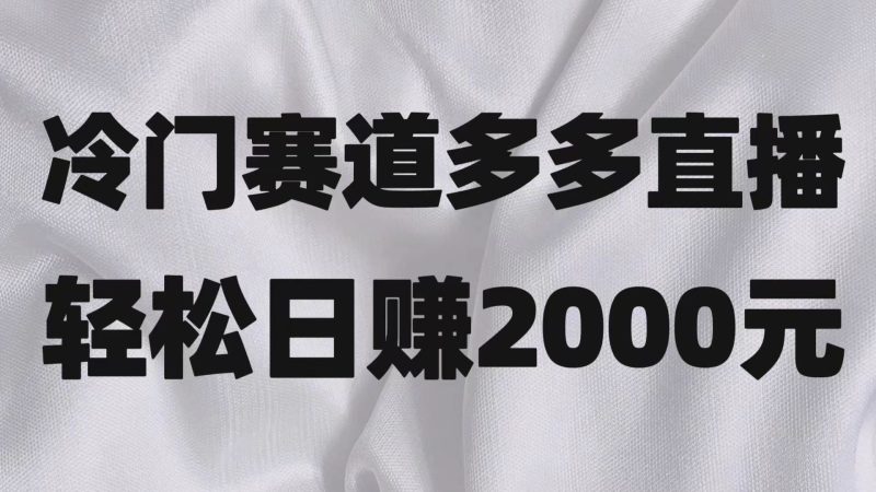 冷门赛道拼多多直播项目，简单念稿子，日收益2000＋睿集资源栈-网赚项目-副业赚钱-互联网创业-资源整合睿集资源栈