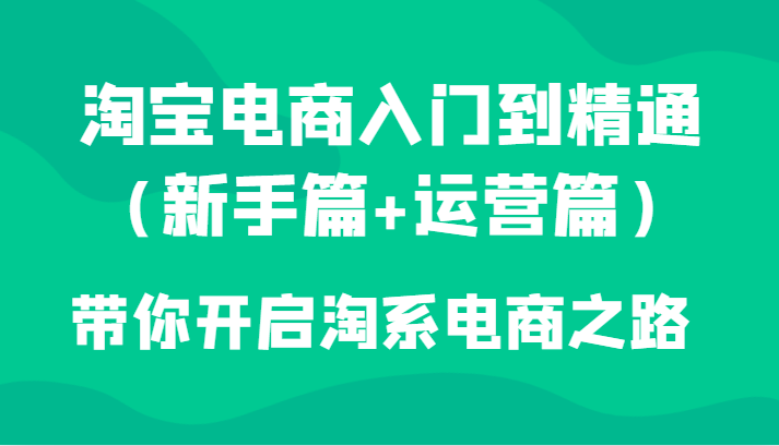 淘宝电商入门到精通（新手篇+运营篇）带你开启淘系电商之路睿集资源栈-网赚项目-副业赚钱-互联网创业-资源整合睿集资源栈
