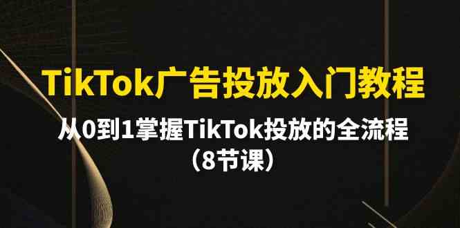 TikTok广告投放入门教程，从0到1掌握TikTok投放的全流程（8节课）睿集资源栈-网赚项目-副业赚钱-互联网创业-资源整合睿集资源栈