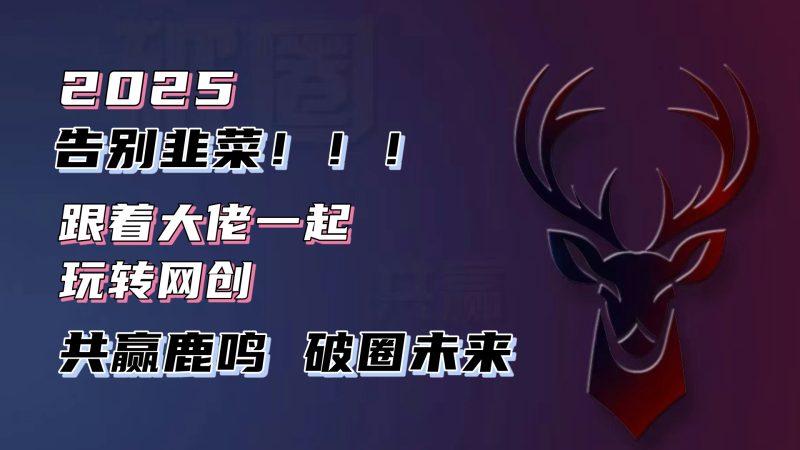 告别韭菜！2025知识付费风口项目，小白也能闭眼操作！睿集资源栈-网赚项目-副业赚钱-互联网创业-资源整合睿集资源栈