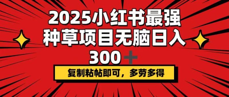 2025小红书最强种草项目，无脑日入300+，复制粘帖即可，多劳多得睿集资源栈-网赚项目-副业赚钱-互联网创业-资源整合睿集资源栈