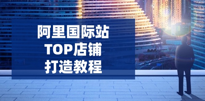 阿里国际站TOP店铺打造教程：涵盖平台到高阶，解决运营难题，提升询盘睿集资源栈-网赚项目-副业赚钱-互联网创业-资源整合睿集资源栈