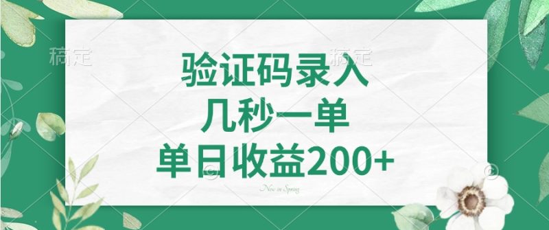 验证码录入，几秒一单，单日收益200+睿集资源栈-网赚项目-副业赚钱-互联网创业-资源整合睿集资源栈